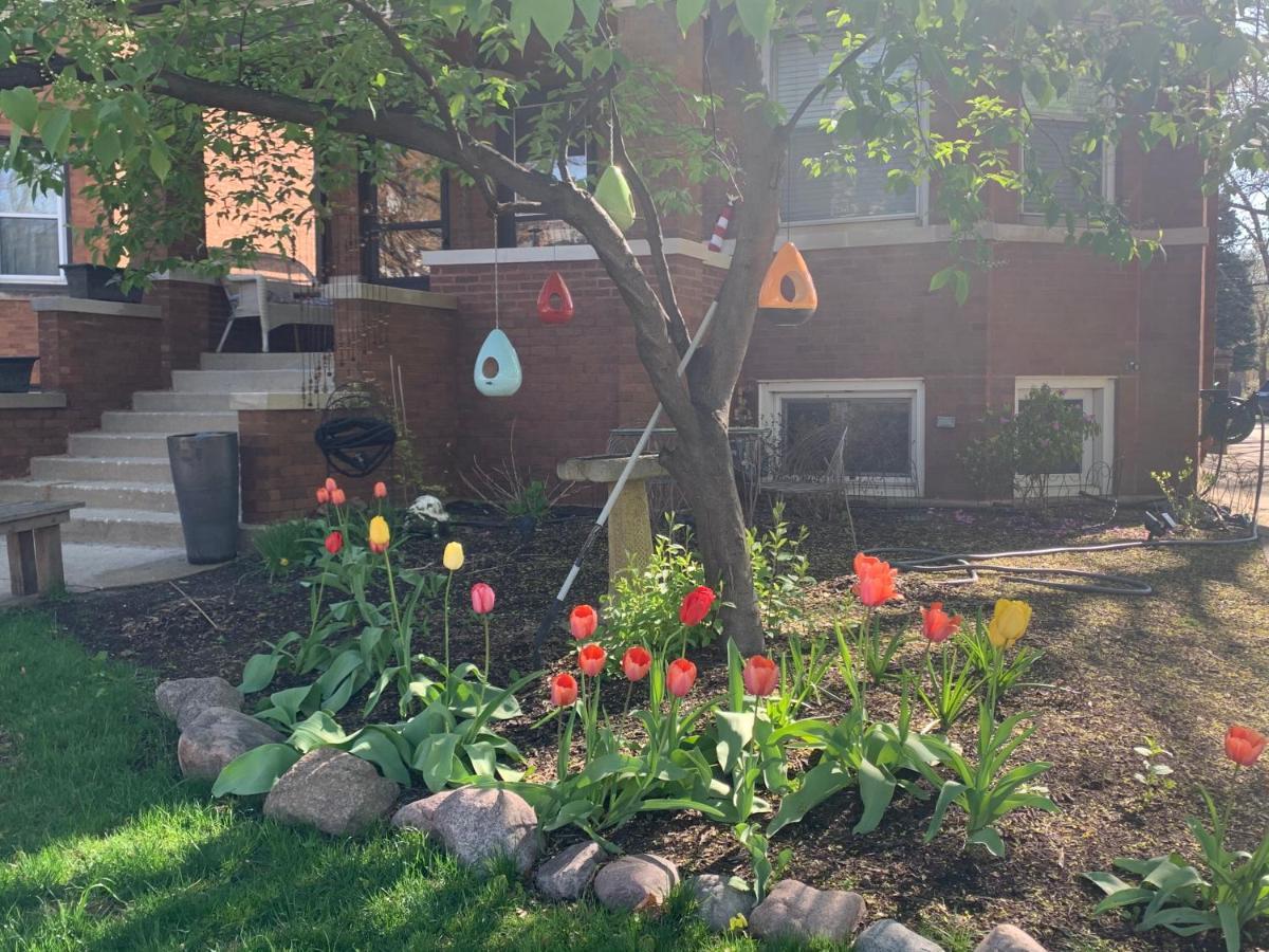 Oak Park Beauties - Tree Lined Streets - Walkable Apartment Exterior photo